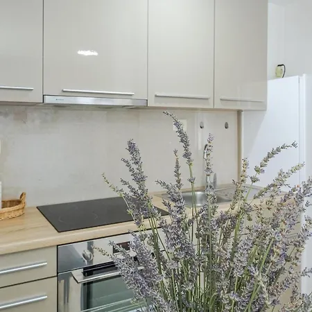 Apartmán Comfortable Near Opatija