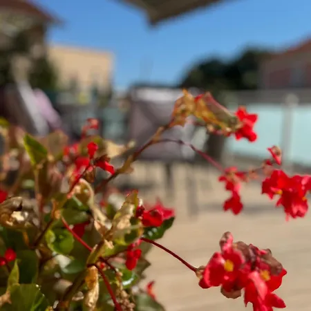 Comfortable Near Opatija Lejlighed Matulji